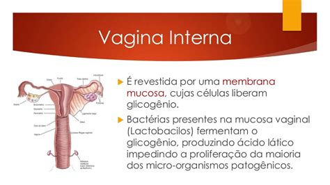 Mais de 10.000 imagens grátis de Vagina Feminino e Mulher